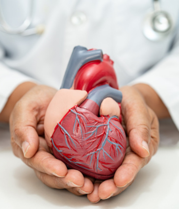 Essential Heart Check up