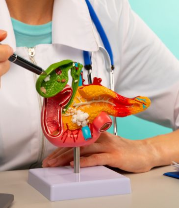 Essenzieller Gastroenterologie-Check-Up