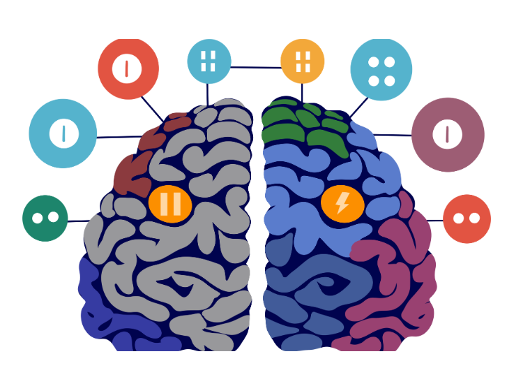 Qu'est-ce que la cartographie cérébrale?