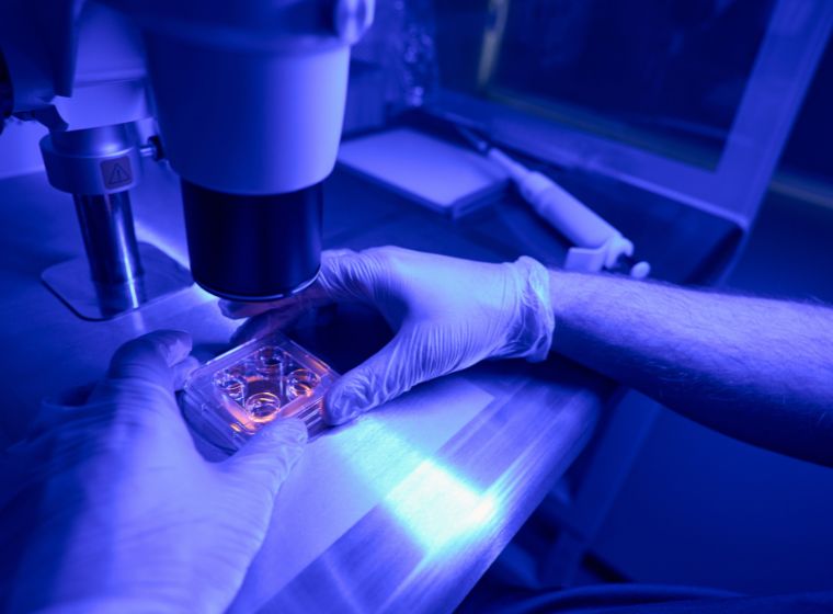 Les exosomes peuvent-ils faire repousser les cheveux?