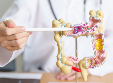 Скрининговая колоноскопия для раннего выявления рака толстой кишки в Турции