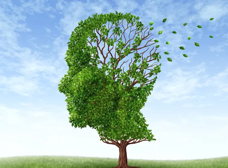 Does Citicoline Improve Memory Loss?