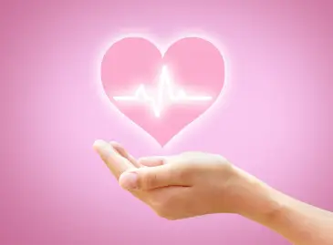What is a Full Heart Check-Up?
