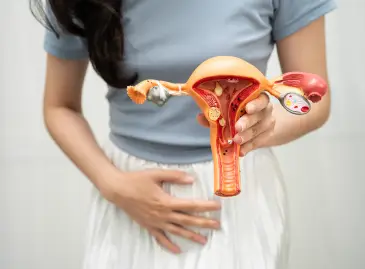 How Does MRgFUS Treat Uterine Fibroids?