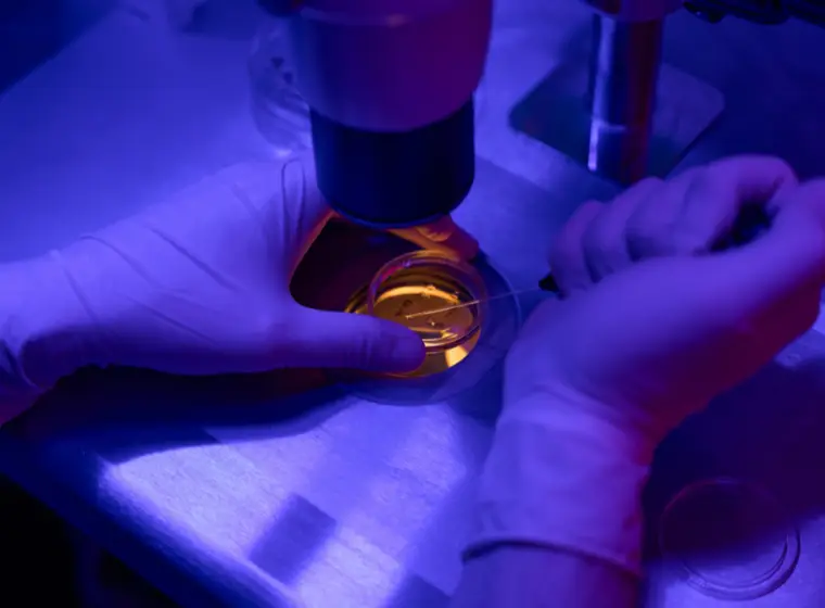 Est-il préférable de congeler des ovules ou des embryons?