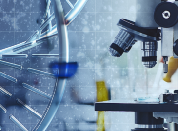 Que vous révèle un test du microbiome intestinal?