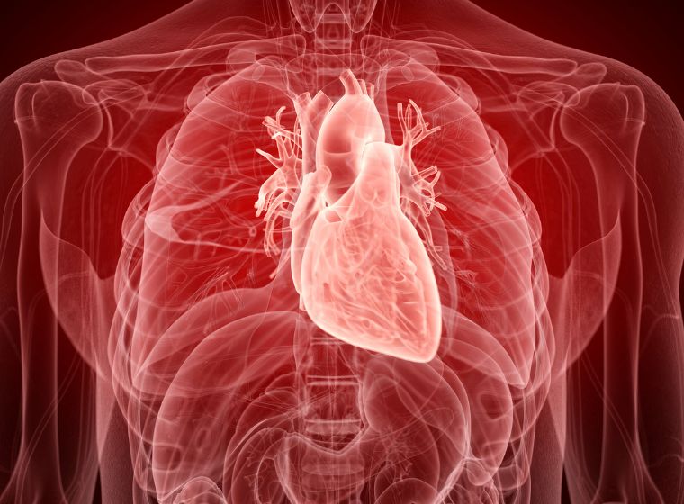 What Heart Conditions Require a Pacemaker?