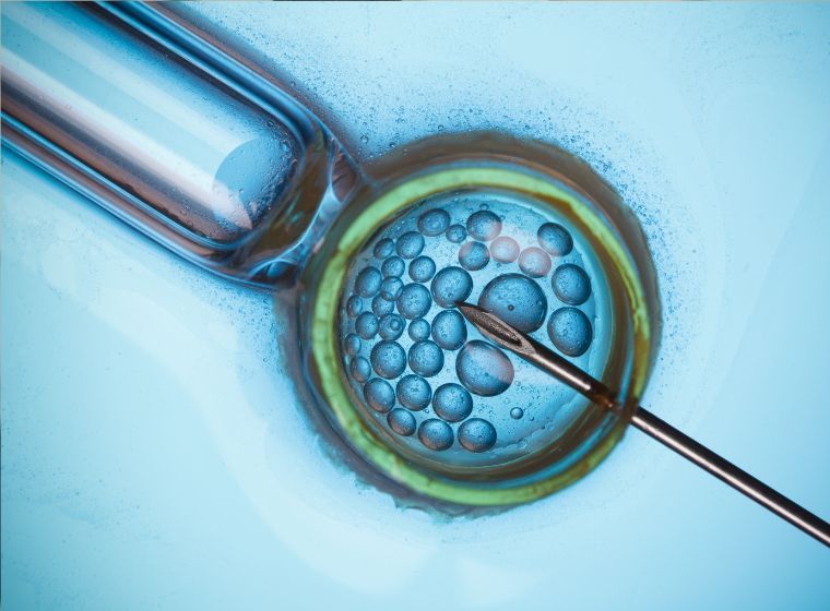 What is Preimplantation Genetic Testing in IVF?