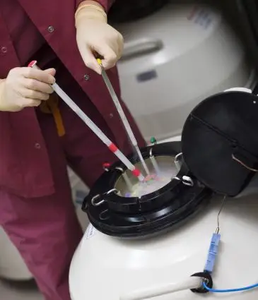 Egg Freezing