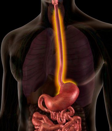 Esophageal Cancer Treatment Price Turkey