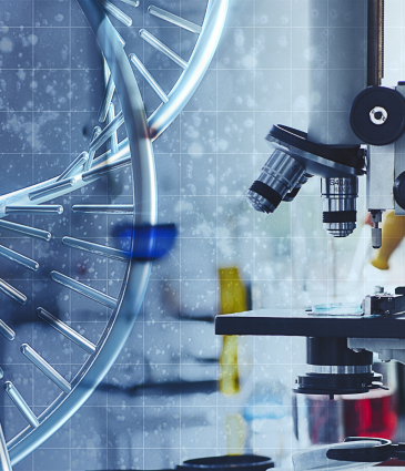 Test du microbiome pour la santé intestinale