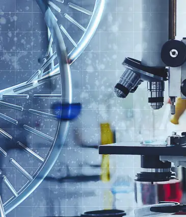 Test du microbiome pour la santé intestinale