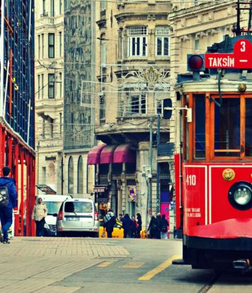 VIP Check-up & Istanbul Tour (3 Days)