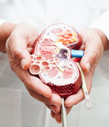 Kidney Stones Treatment Price Turkey