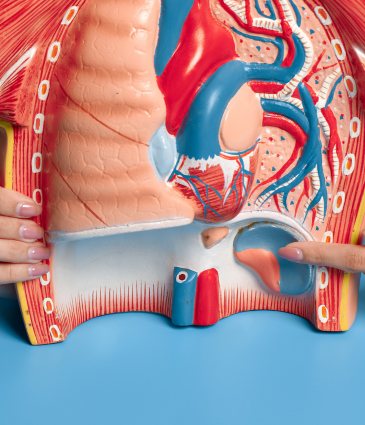 PCNL for Kidney Stones Price Turkey