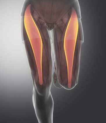 Prix ​​du traitement du sein Carinatum en Turquie