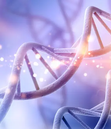 Salmon DNA Treatment