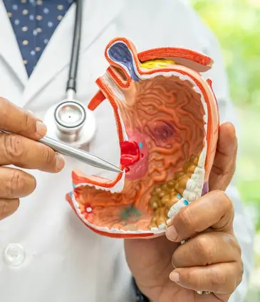 Endoskopische Schlauchmagenplastik Preis Türkei