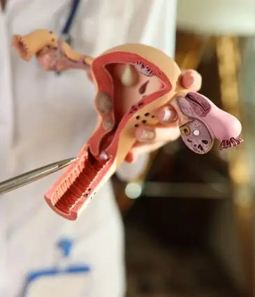 Genital Aesthetics Price Turkey
