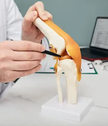 La Chirurgie du Ménisque