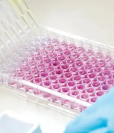 Stem Cells Therapy