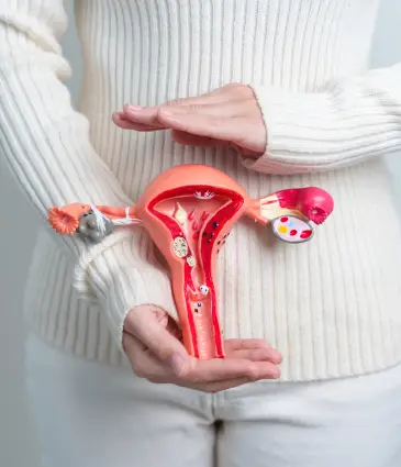 Prix ​​de l'embolisation des fibromes utérins en Turquie