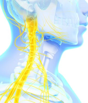 Vagus Nerve Stimulation 